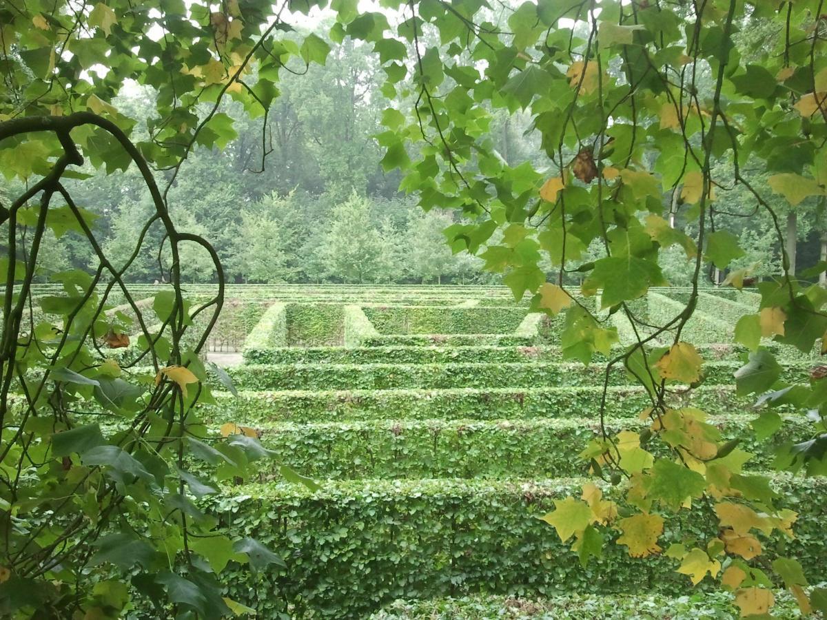 6. Het Doolhof 6. Het Doolhof