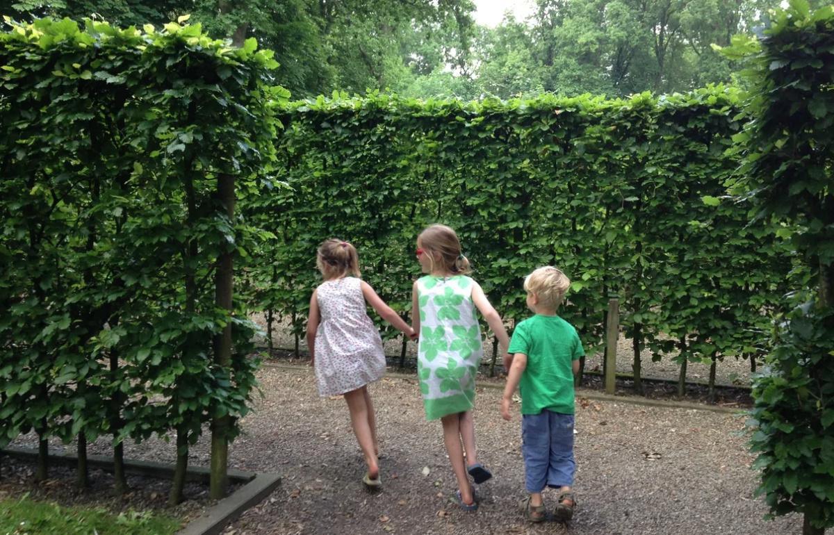 6. Het Doolhof 6. Het Doolhof