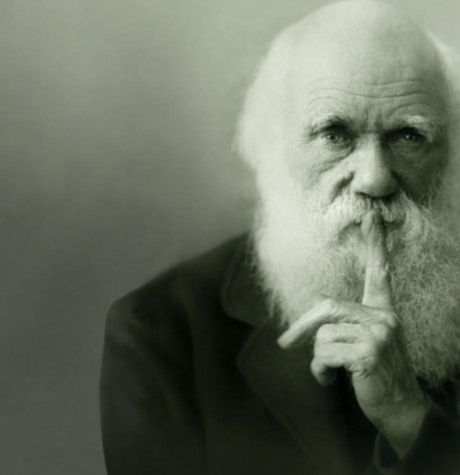 The Darwin Interview with Mark Allardyce