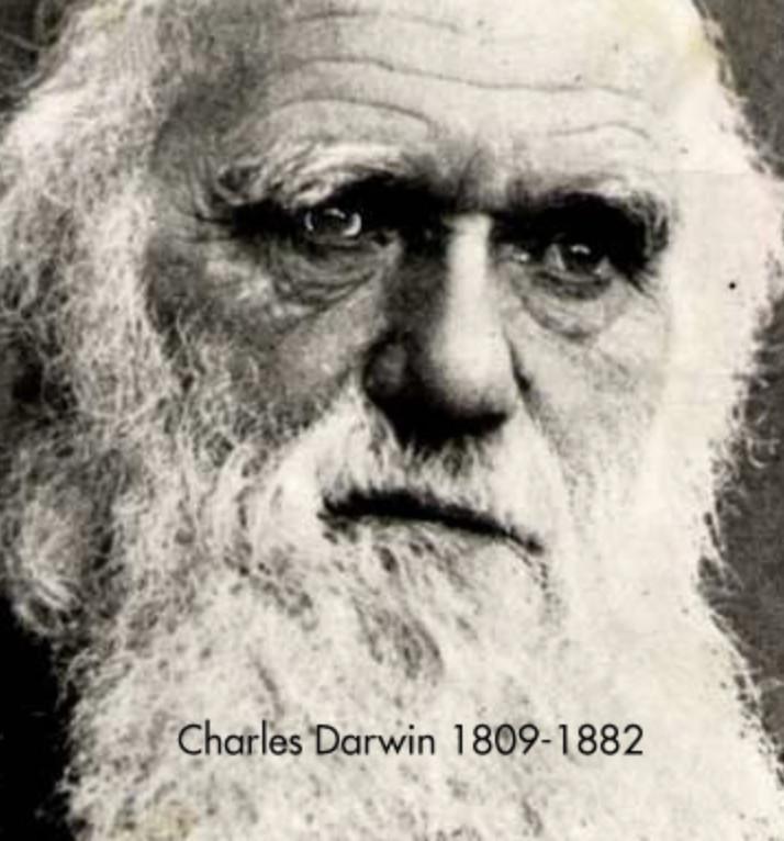 The Darwin Interview with Mark Allardyce The Darwin Interview with Mark Allardyce