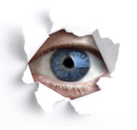 Watch the Watchers Watch the Watchers