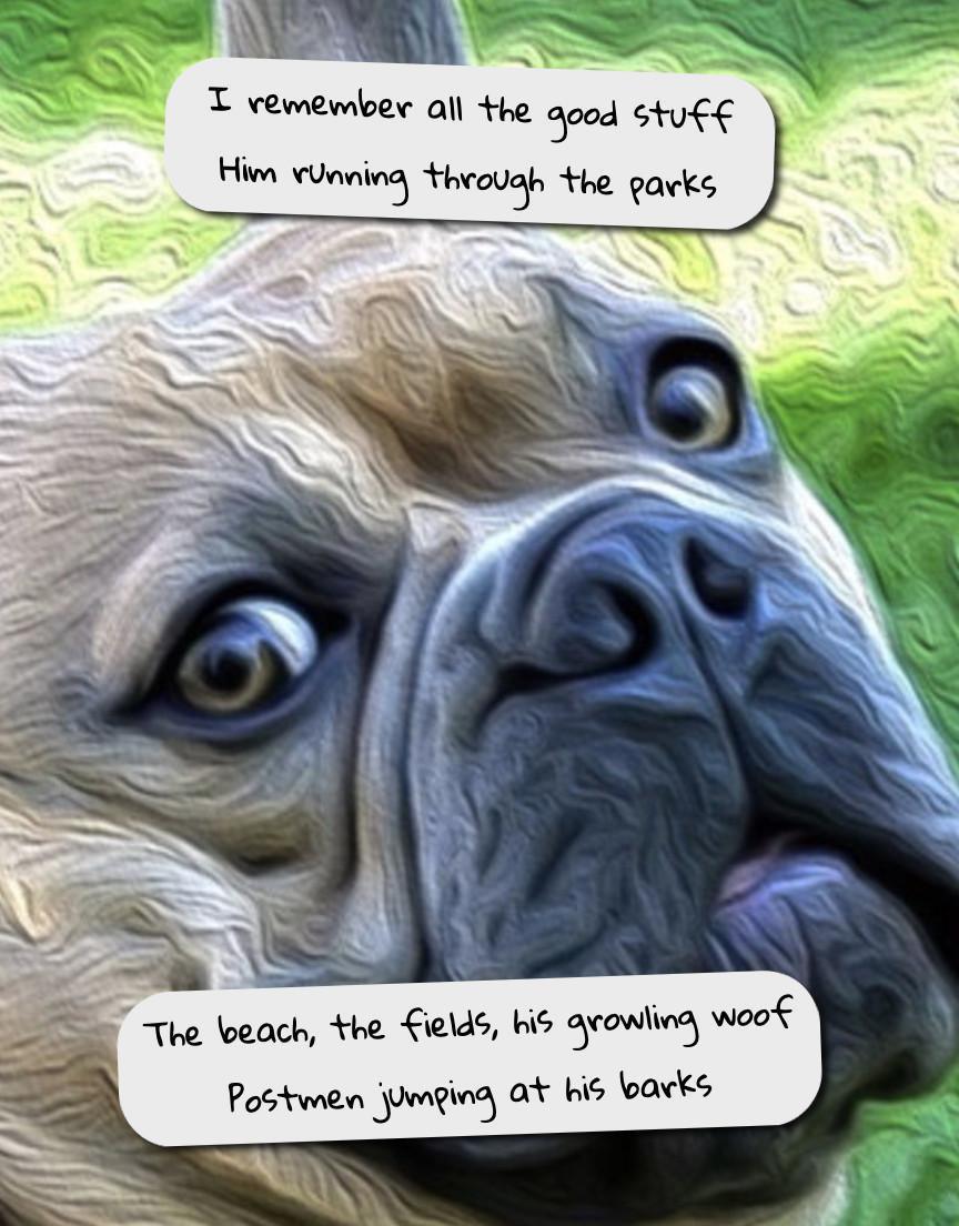 The Owl and the Dog The Owl and the Dog