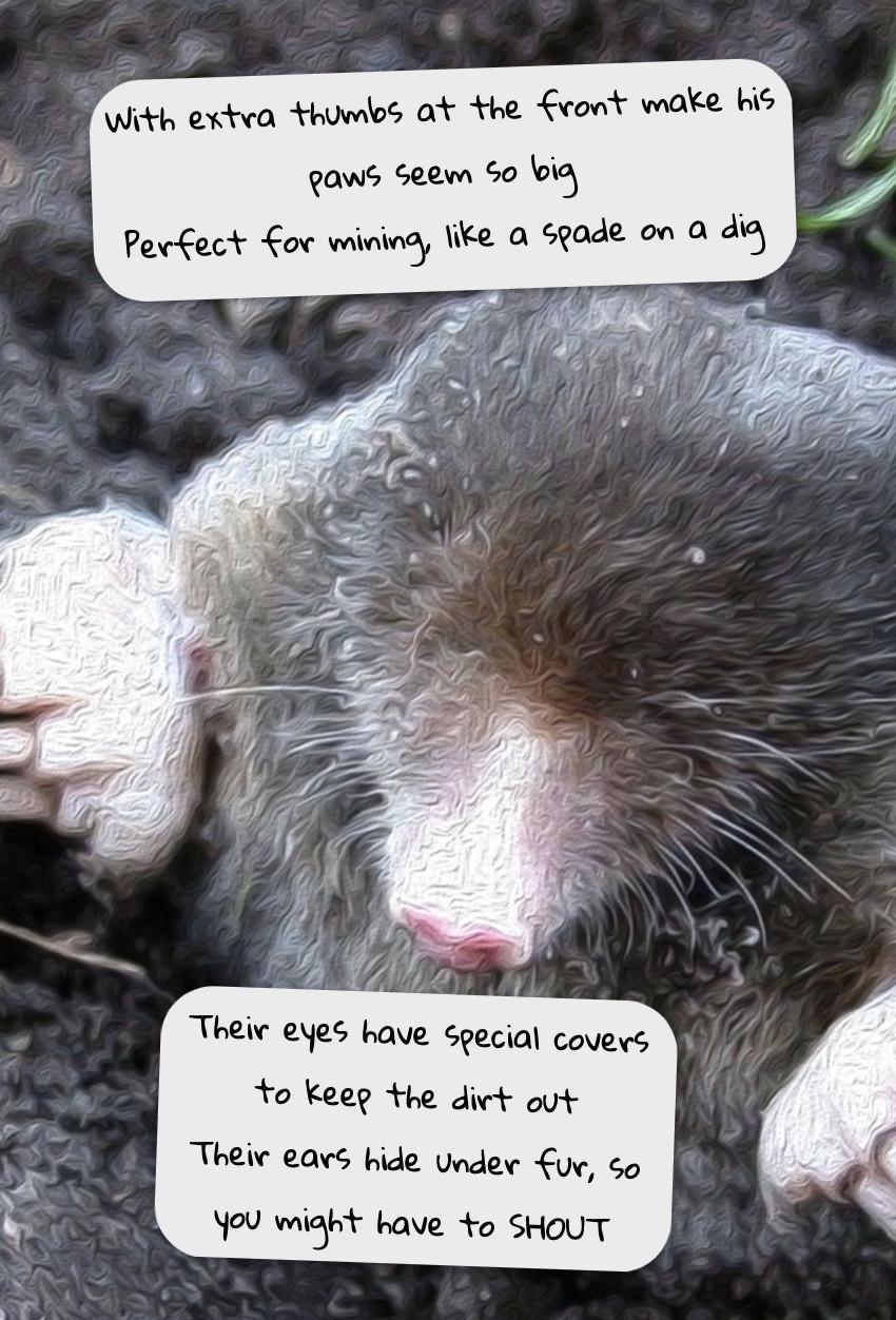 The Owl and the Mole The Owl and the Mole