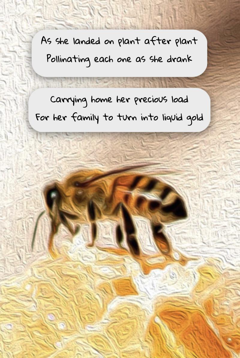 The Owl and the Bee The Owl and the Bee