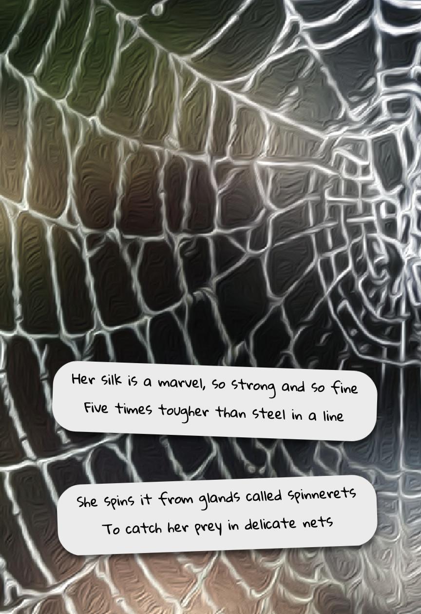 The Owl and the Spider The Owl and the Spider