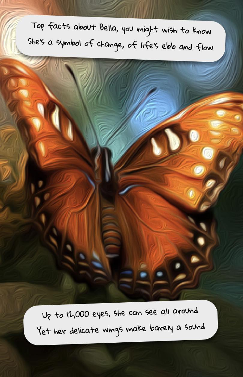 The Owl and the Butterfly The Owl and the Butterfly
