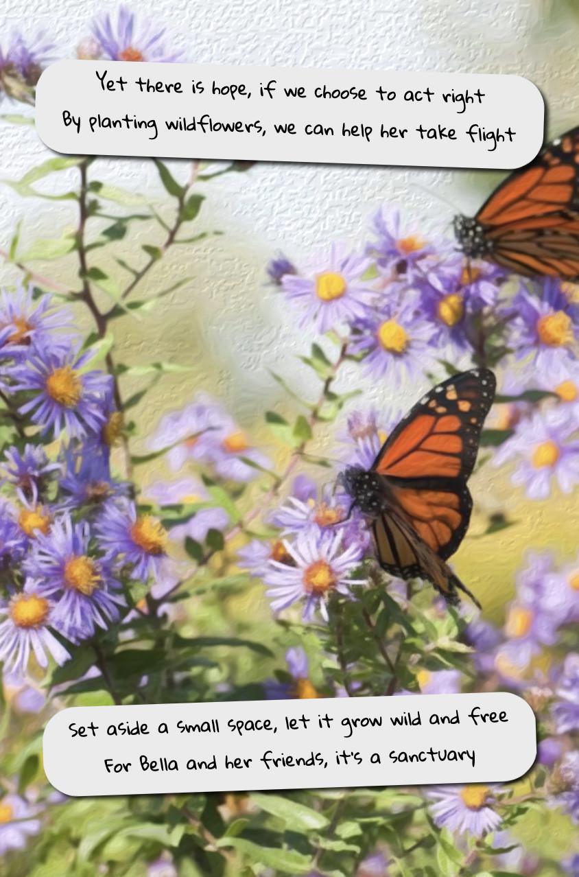 The Owl and the Butterfly The Owl and the Butterfly