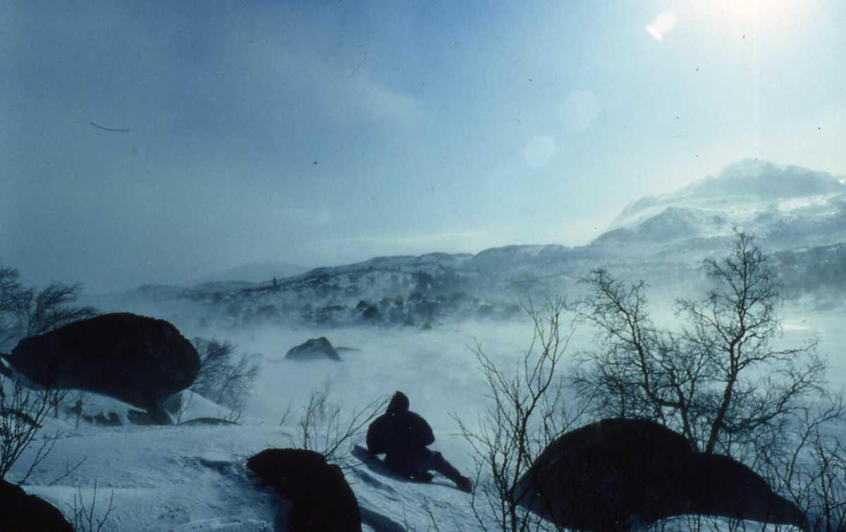 Cold Lessons: What the Arctic Taught Me About Life, Loss and Getting Through Storms