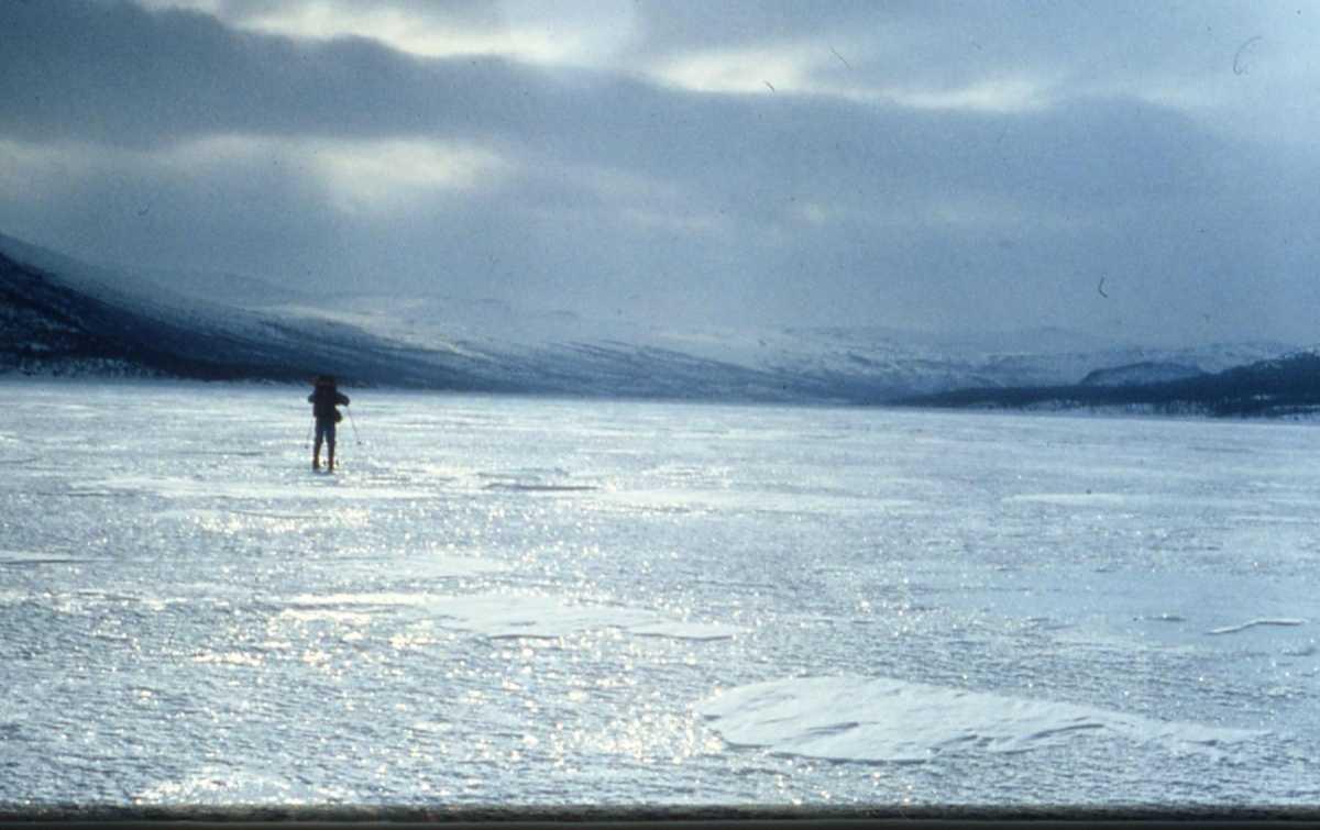 Cold Lessons: What the Arctic Taught Me About Life, Loss and Getting Through Storms Cold Lessons: What the Arctic Taught Me About Life, Loss and Getting Through Storms