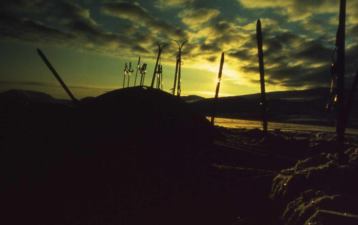 Cold Lessons: What the Arctic Taught Me About Life, Loss and Getting Through Storms