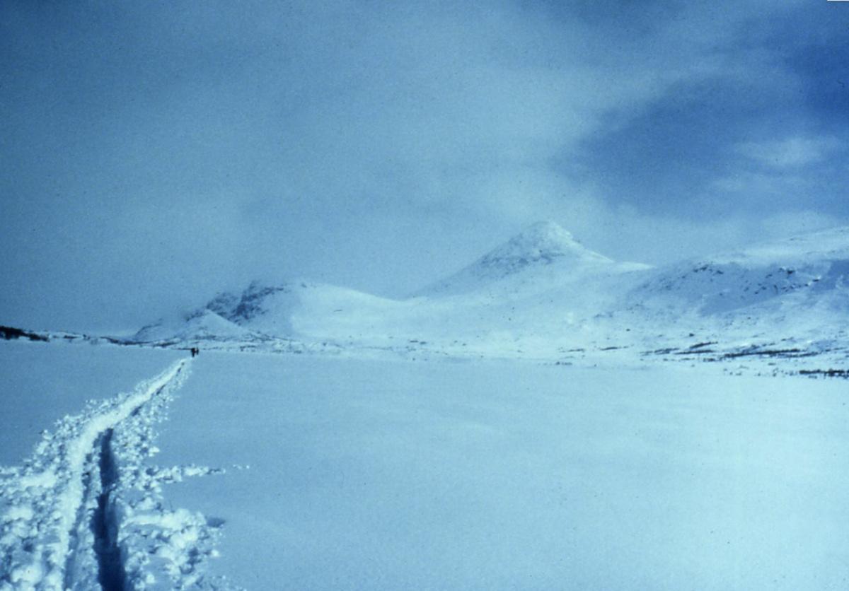 Cold Lessons: What the Arctic Taught Me About Life, Loss and Getting Through Storms