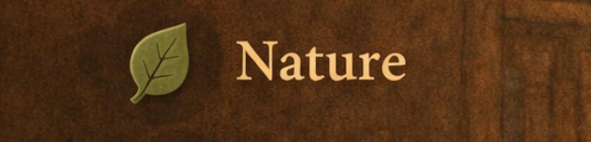 The Library is Open The Library is Open