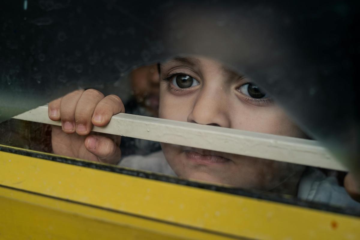 The Chimp Behind The Glass The Chimp Behind The Glass