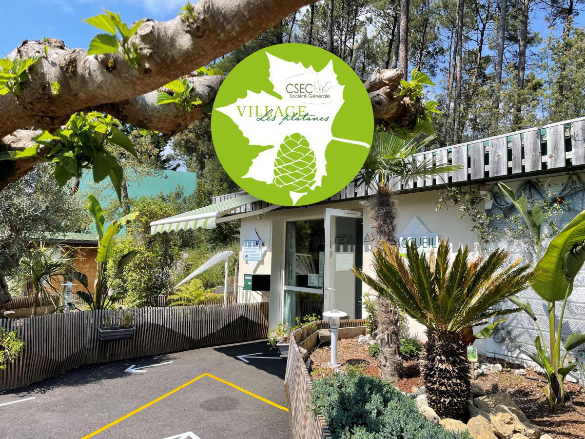 Bienvenue aux Platanes