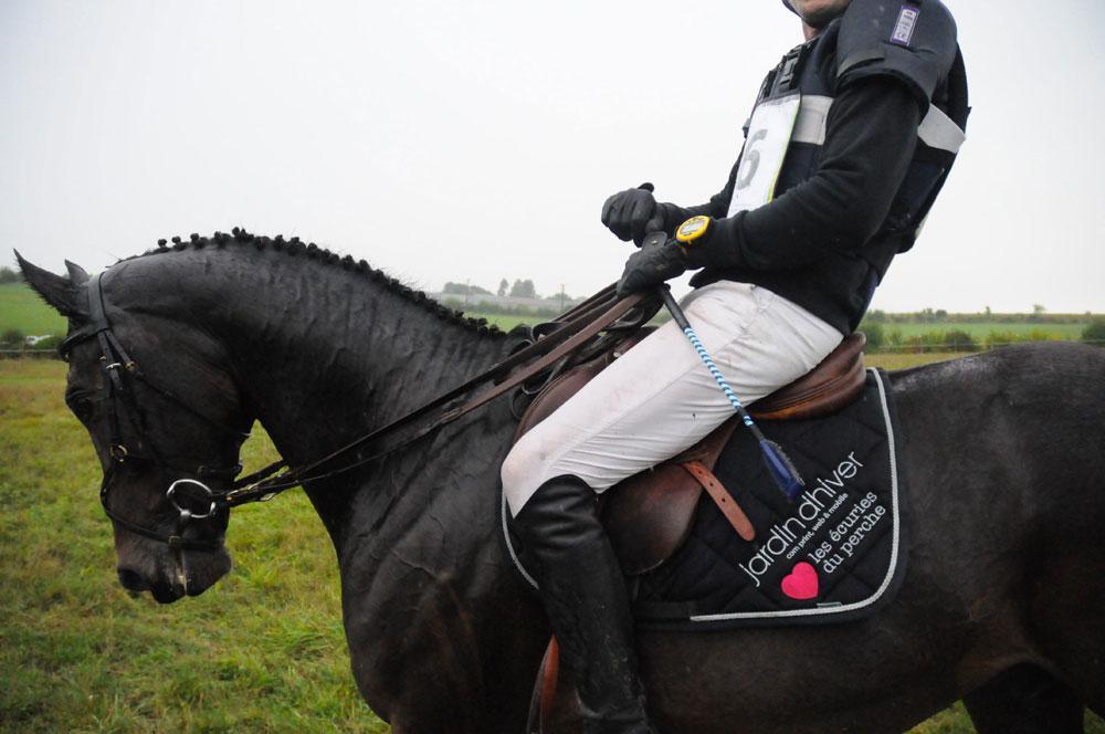 Jardin d'hiver se distingue en concours complet d'équitation !