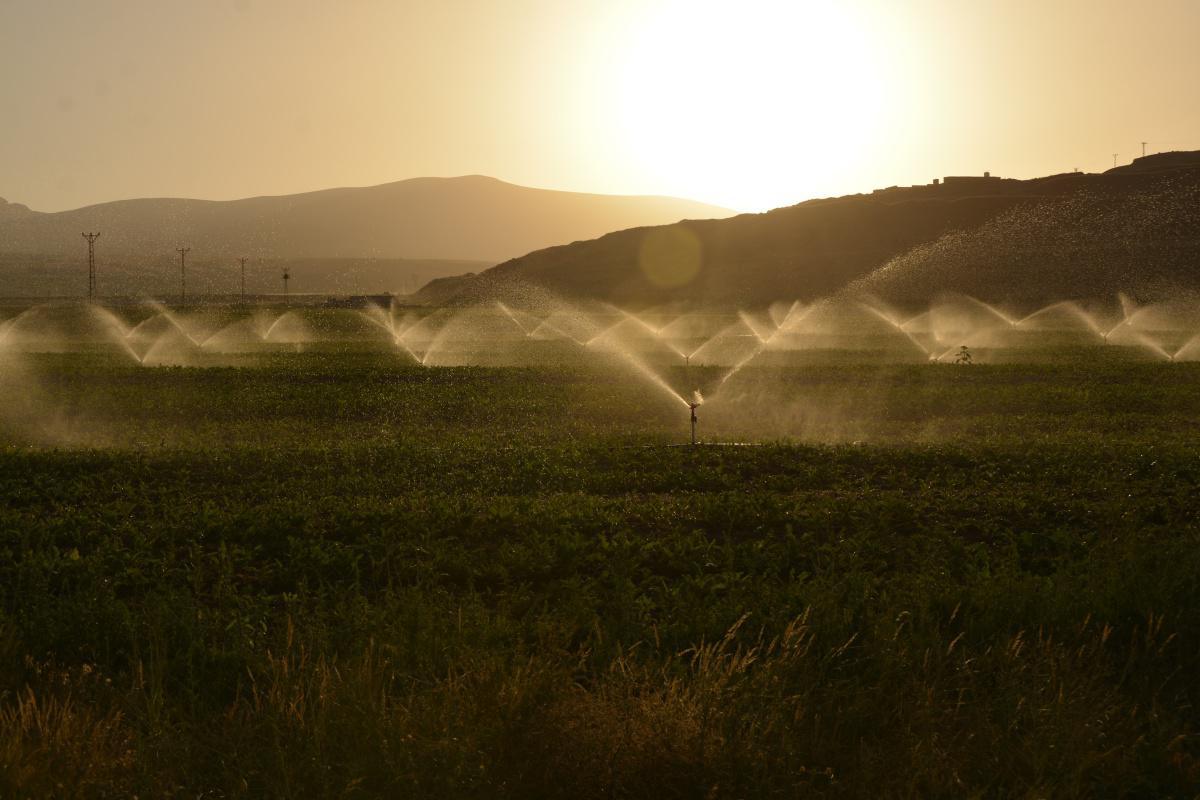 Netafim et Micro-irrigation : Une Coopération Maroc-Israël