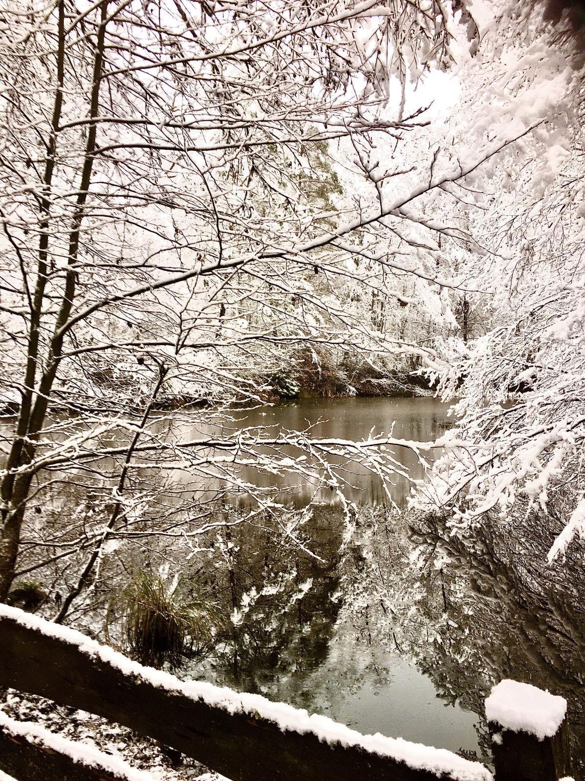 Löschteich im Winter