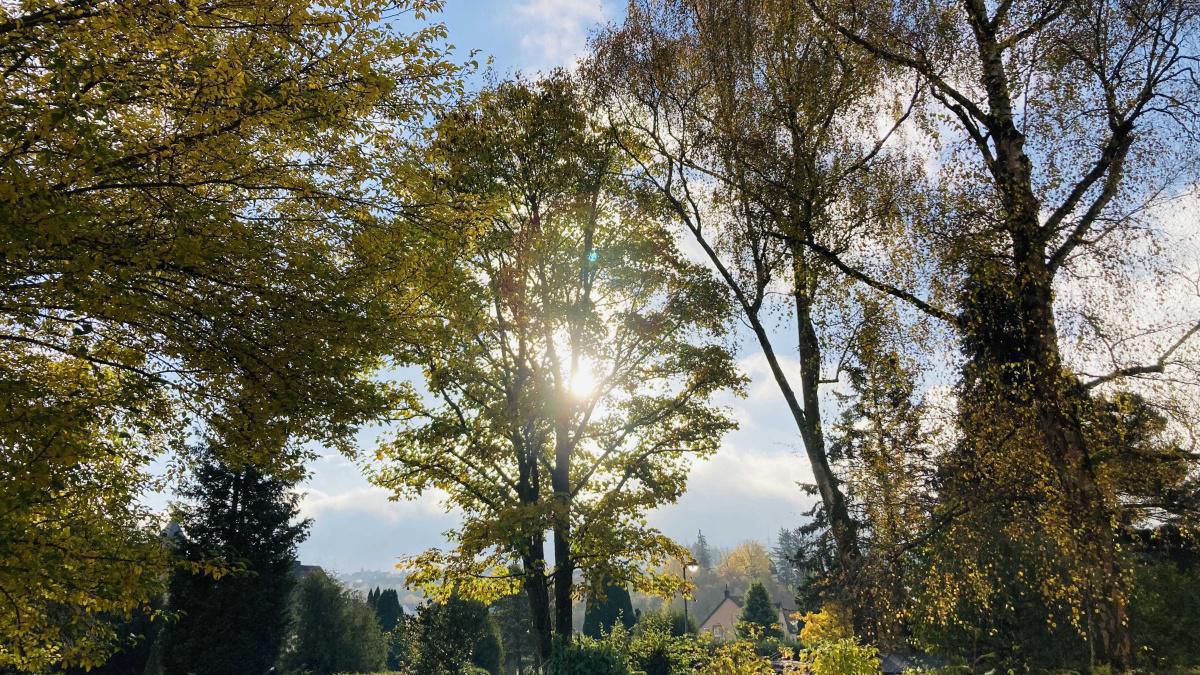 ErLe = Gerolsteiner herbstlicher Morgenhimmel 