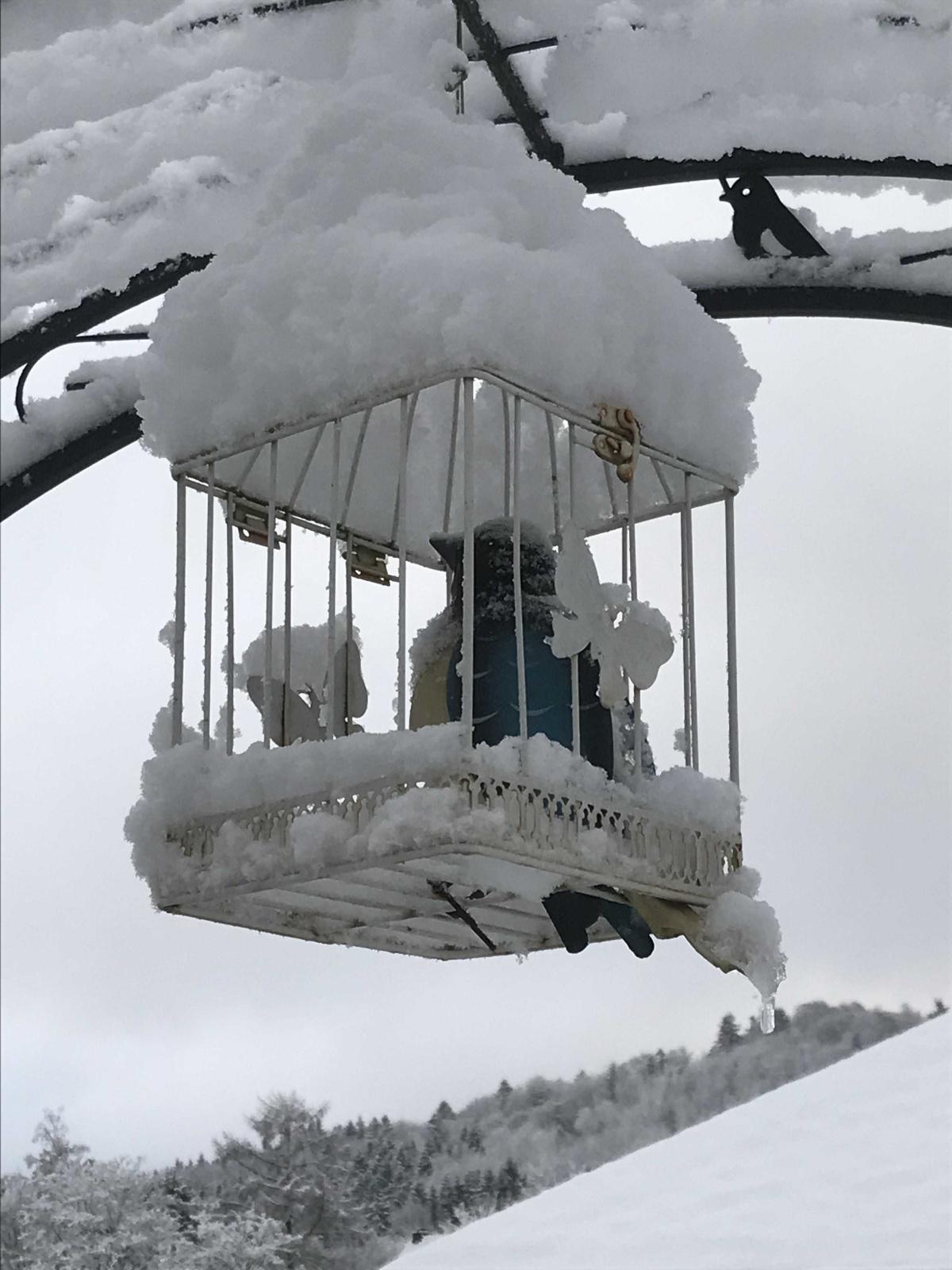 Gut, dass Vogel ein dach überm Kopf hat