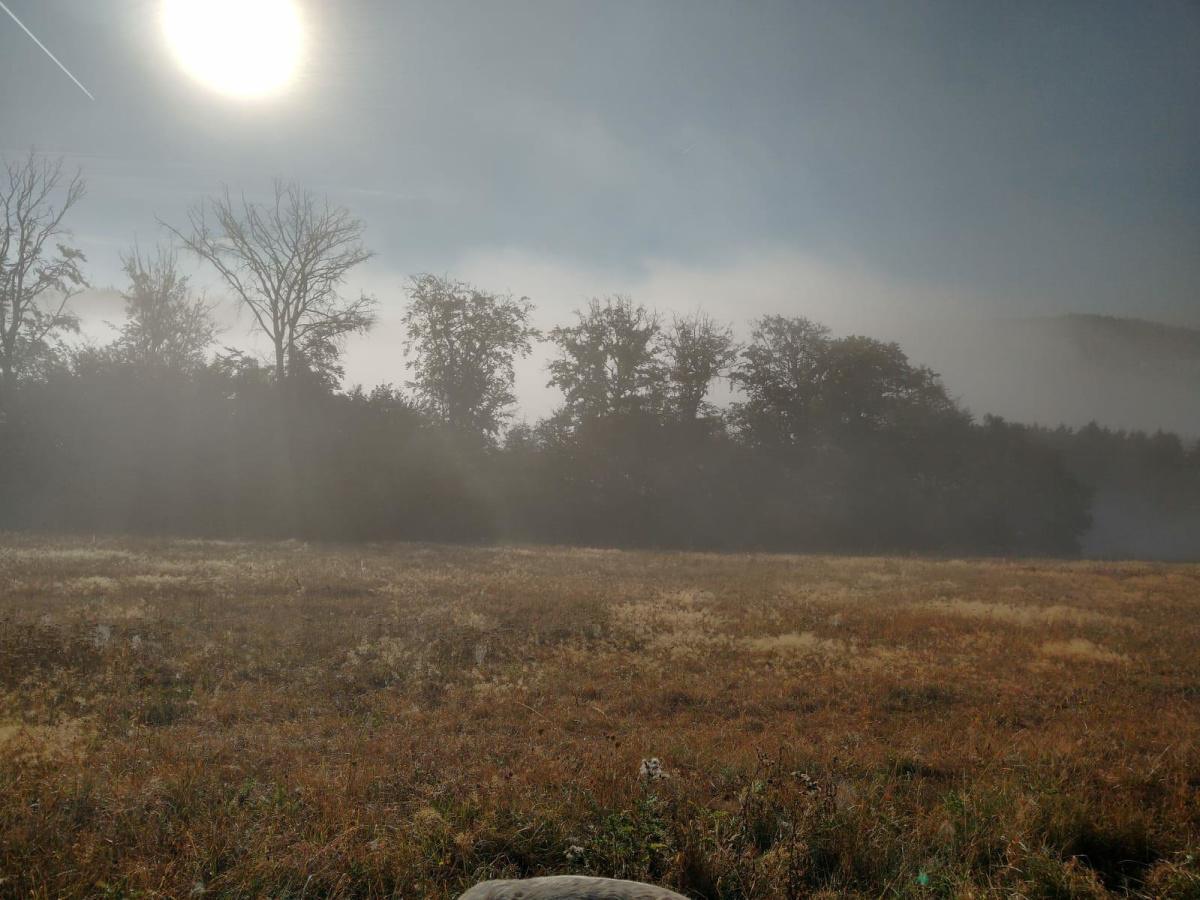 Morgens im Nebel bei Neroth