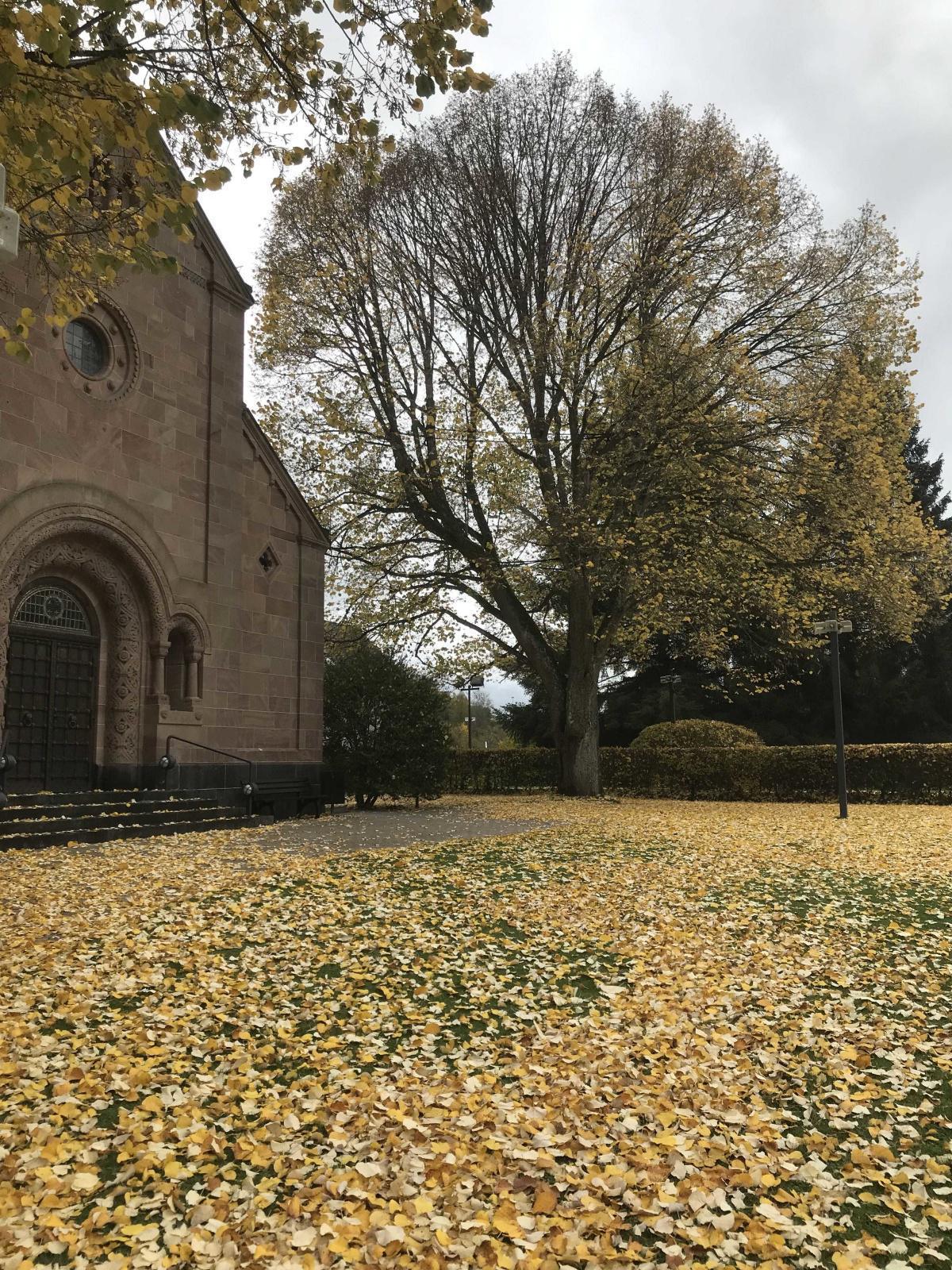 Herbstliches Ambiente vor der Erlöserkirche in Gerolstein. 