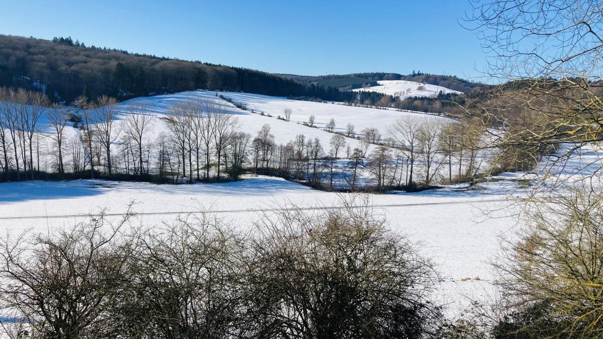 Winterliche Landschaft bei Steffeln