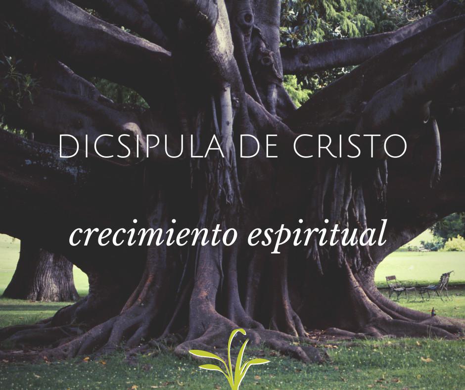 Ministerio de Damas