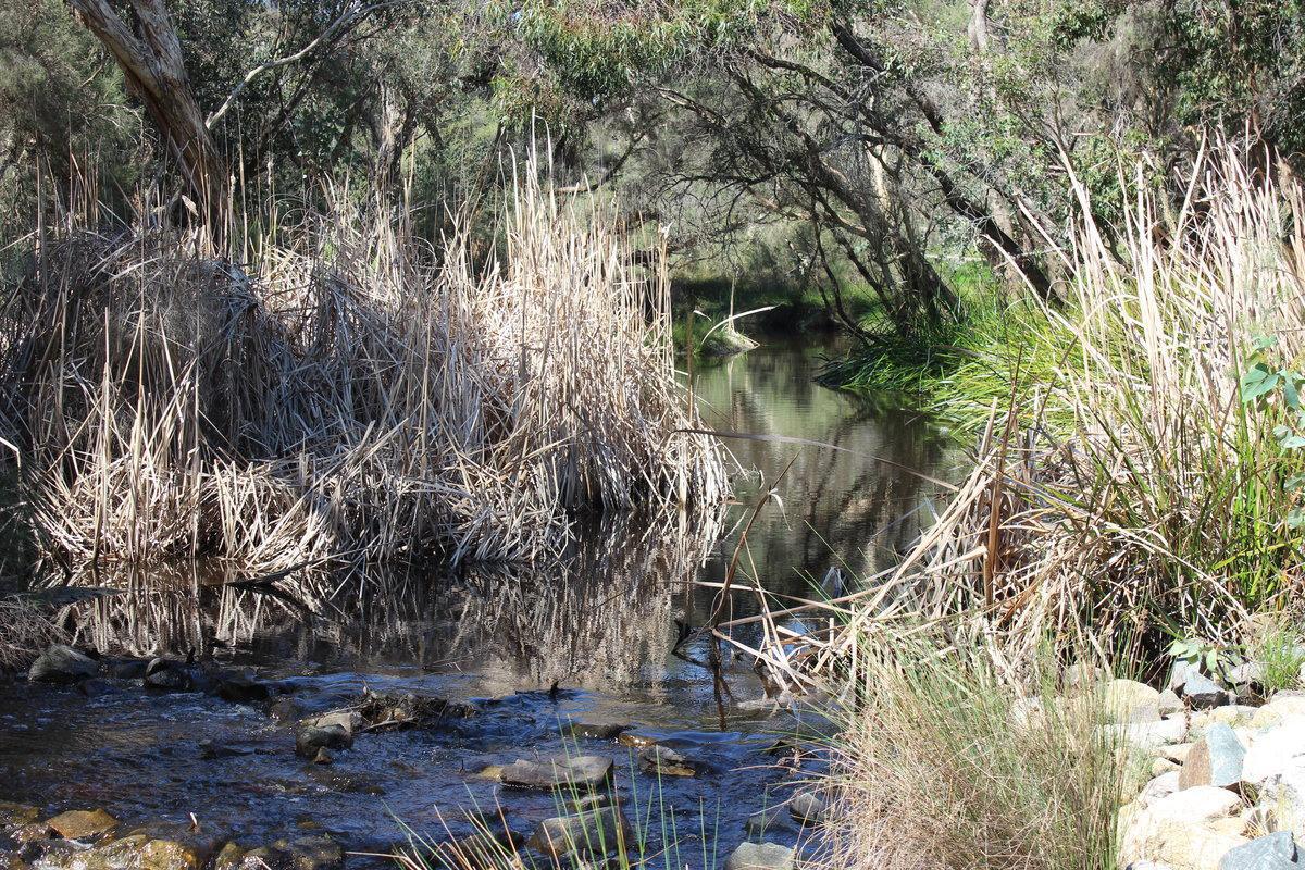 Bannister Creek Nature Playground