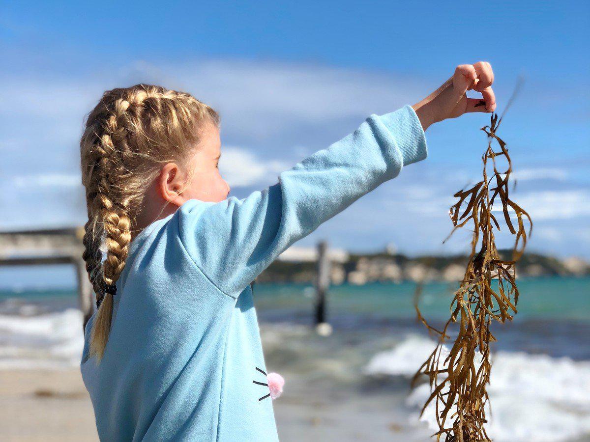 Hamelin Bay