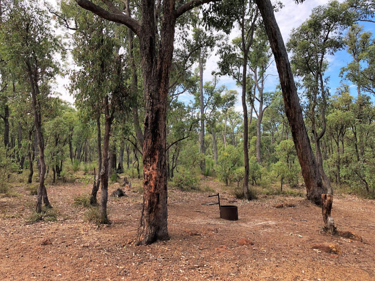 Lake Leschenaultia Campground