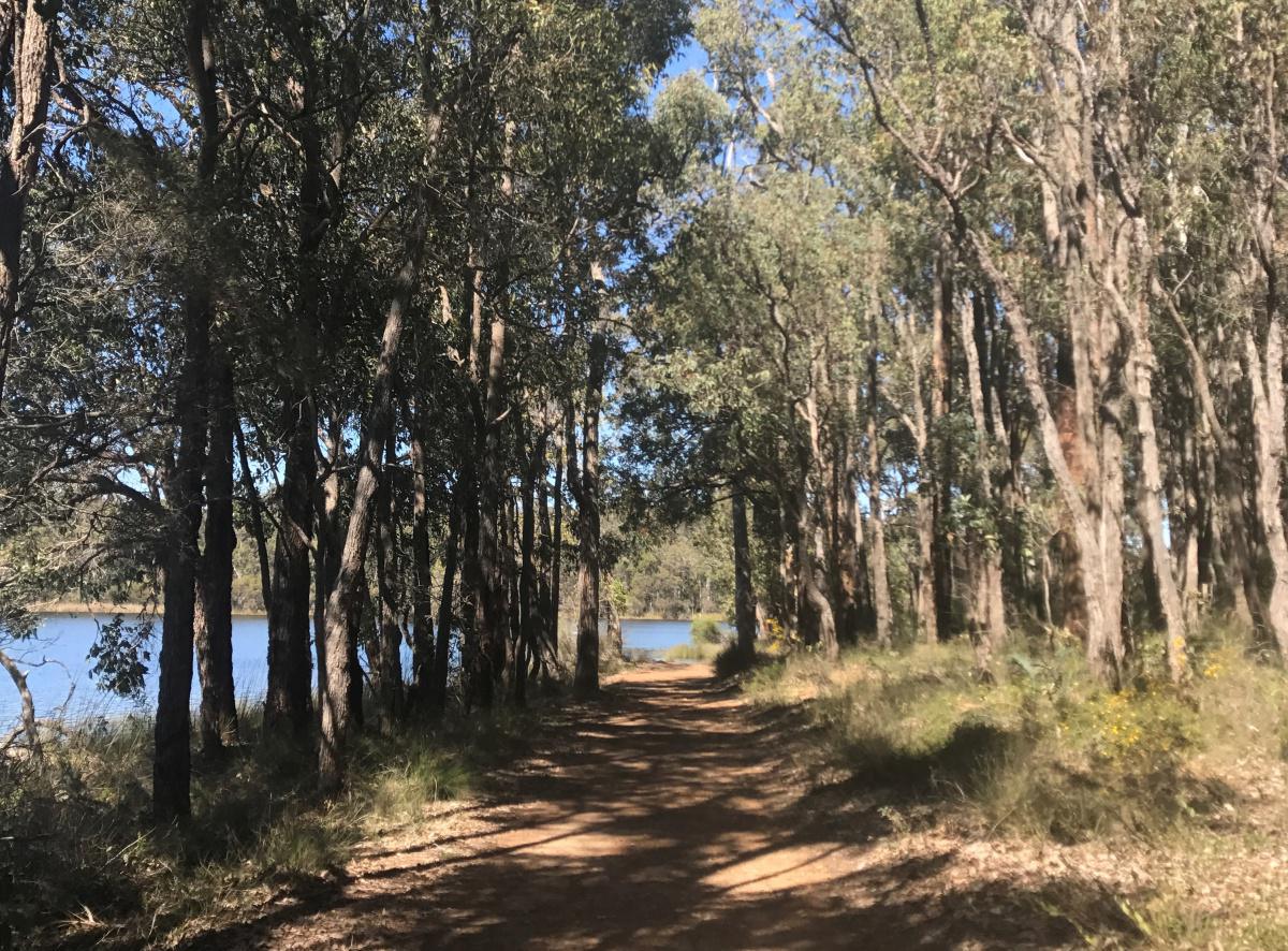 Lake Leschenaultia Campground