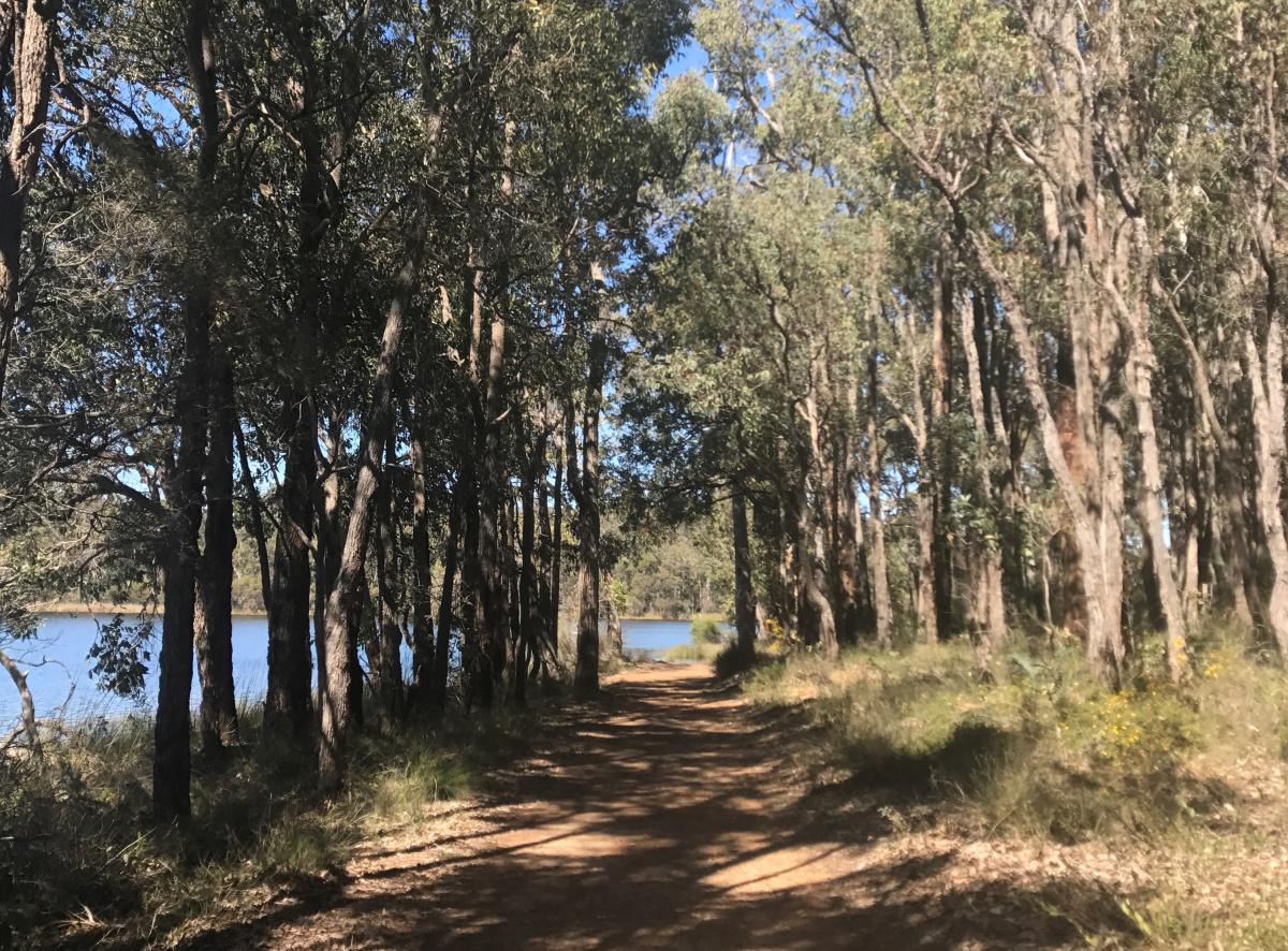 Lake Leschenaultia Campground Lake Leschenaultia Campground