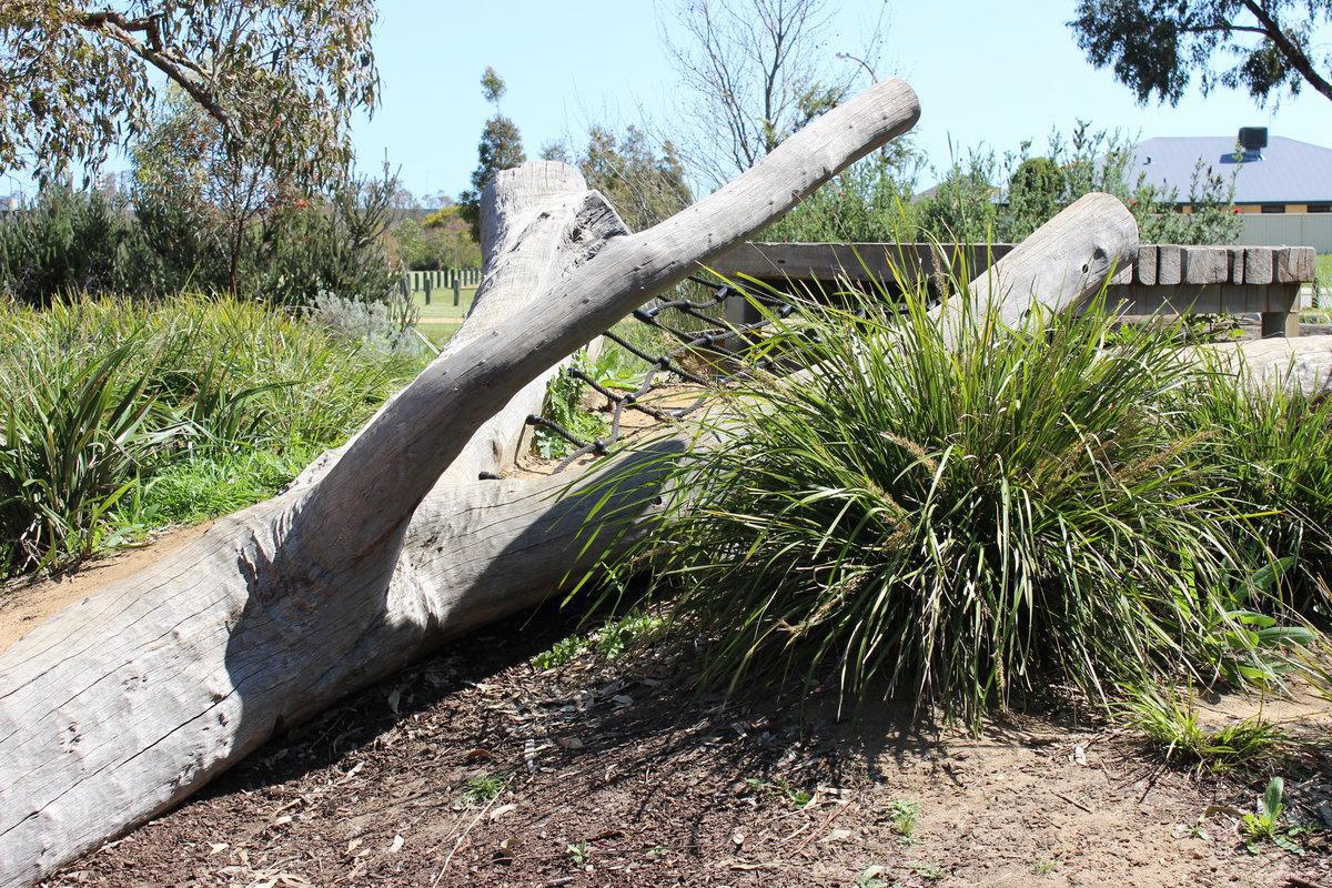 Wattle Grove Discovery Park