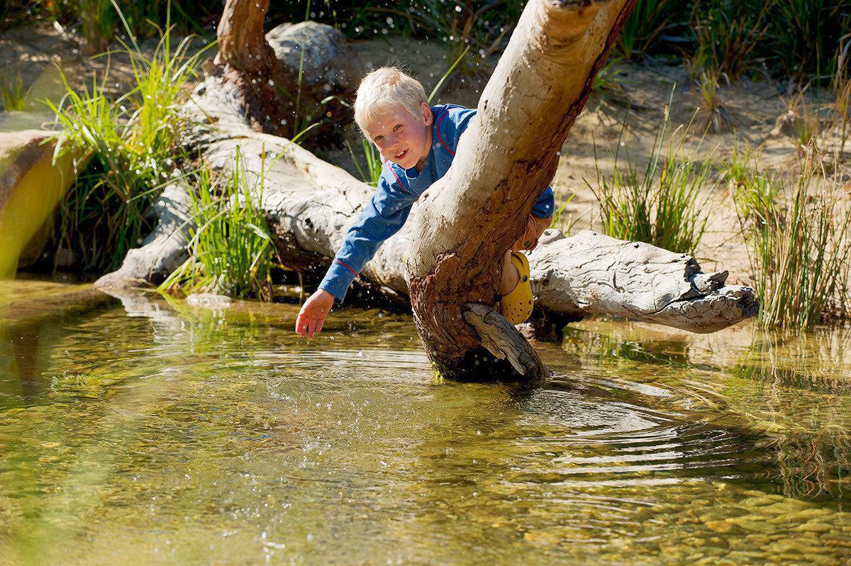 Rio Tinto Naturescape Kings Park