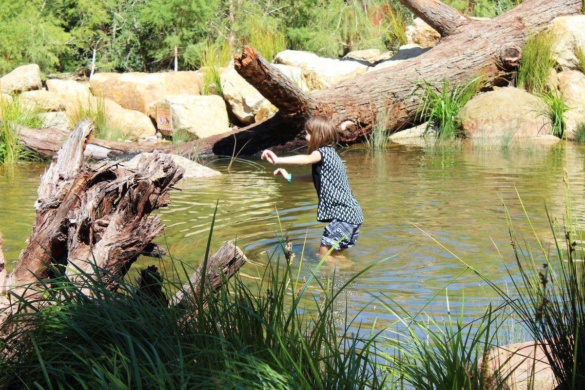 Rio Tinto Naturescape Kings Park