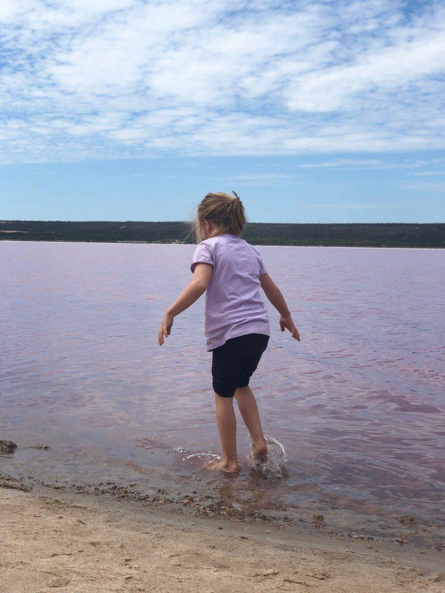 Hutt Lagoon Pink Lake Hutt Lagoon Pink Lake
