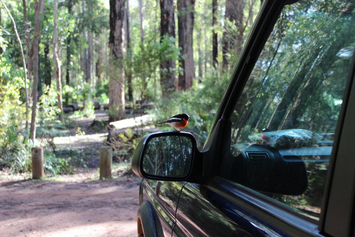 Boranup Campground