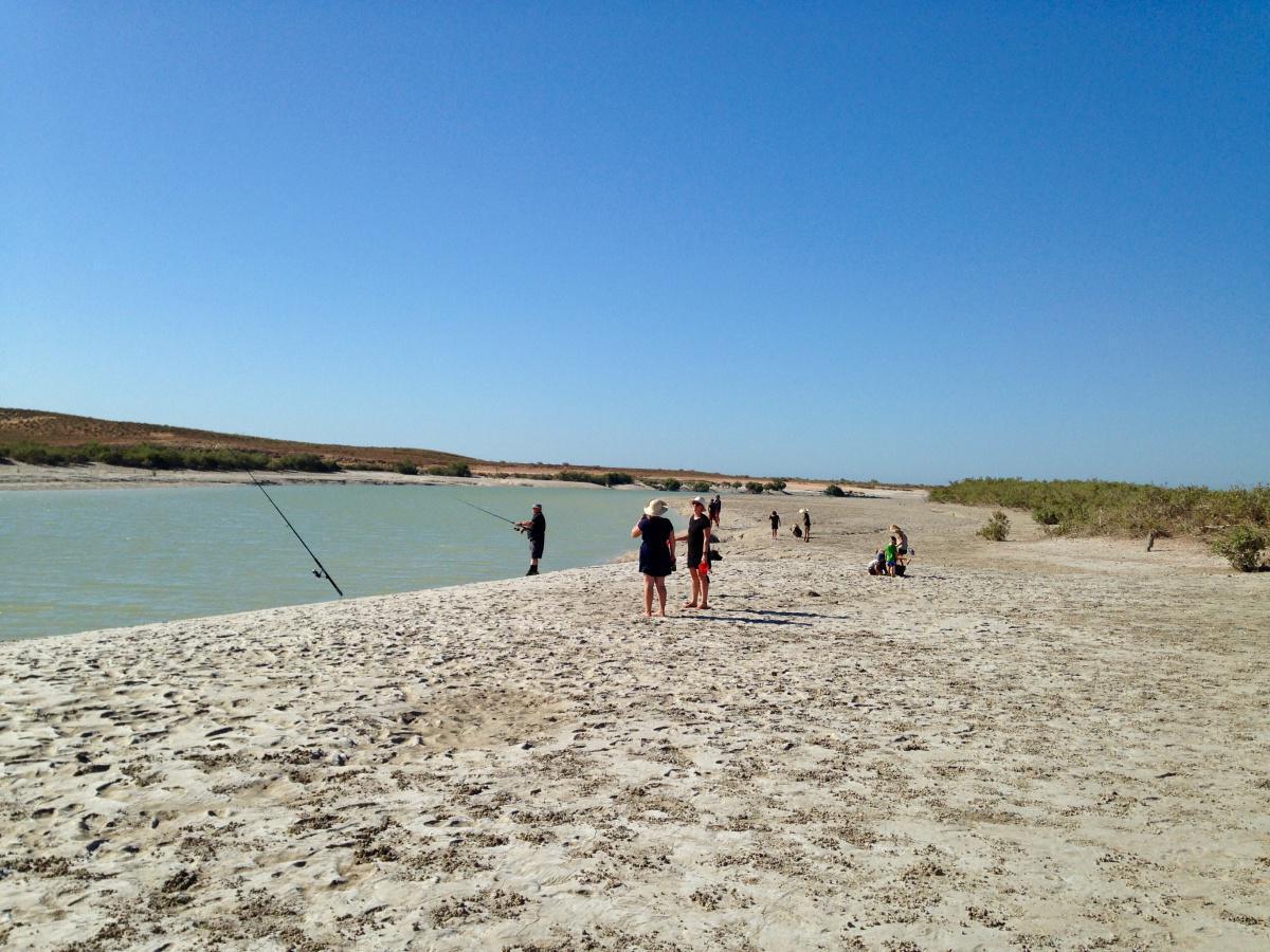 Pardoo Station