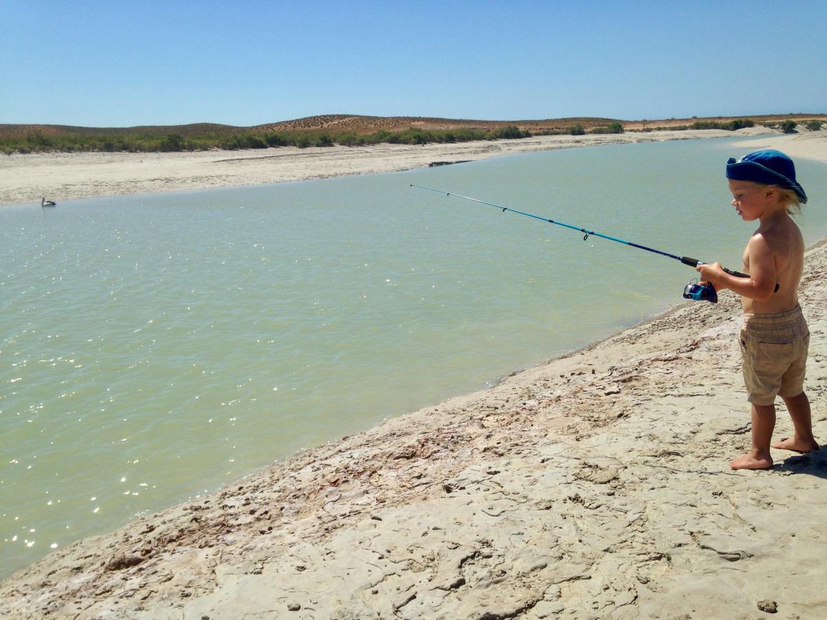 Pardoo Station