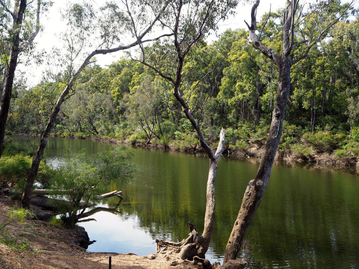 Dwaarlindjirraap (Lane Poole Reserve) Dwaarlindjirraap (Lane Poole Reserve)