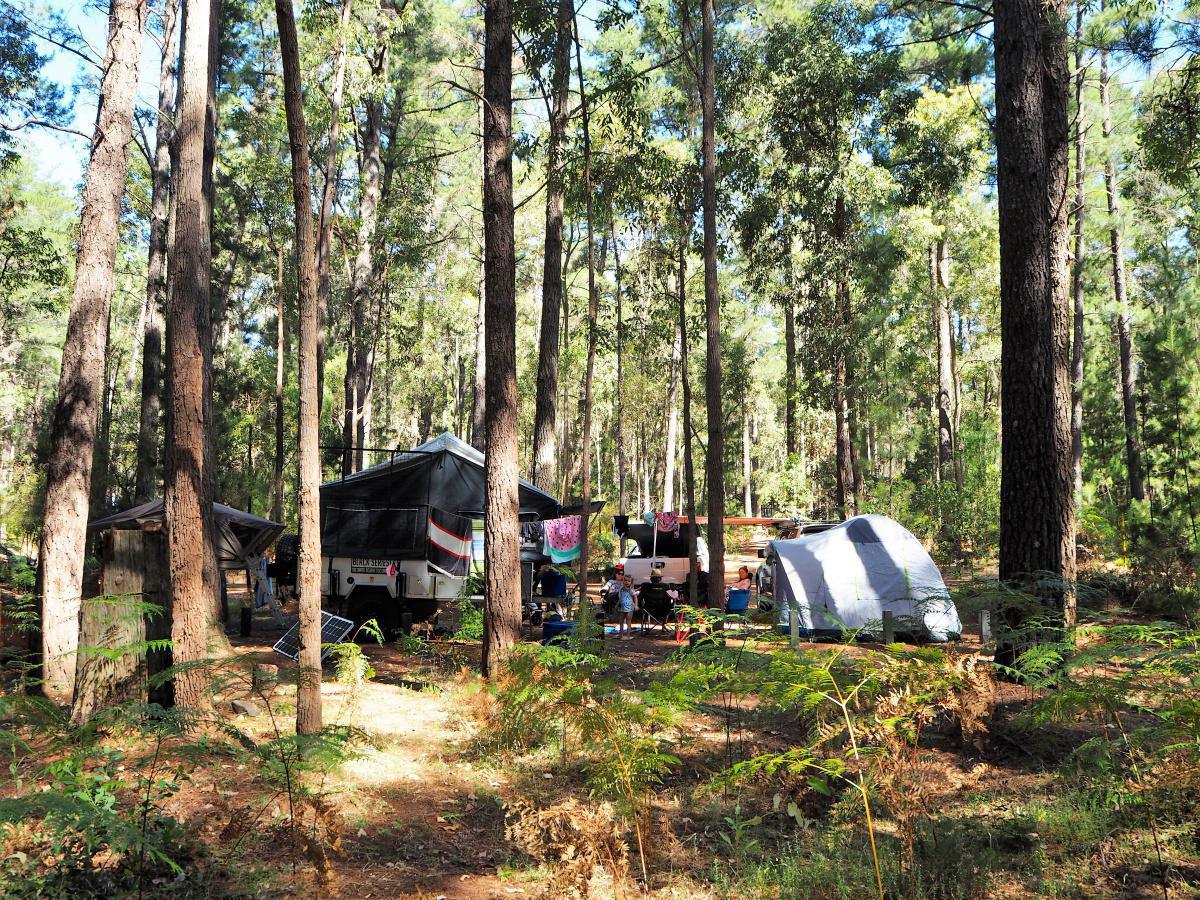 Dwaarlindjirraap (Lane Poole Reserve) Dwaarlindjirraap (Lane Poole Reserve)