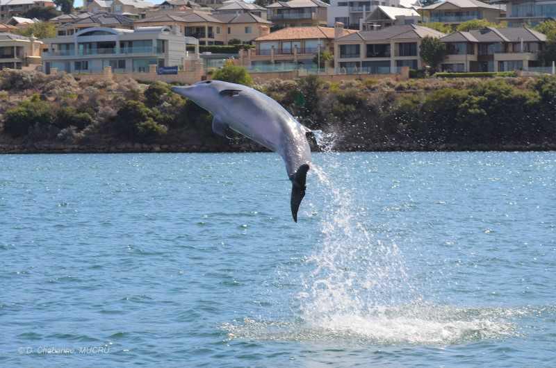 Matilda Bay Matilda Bay
