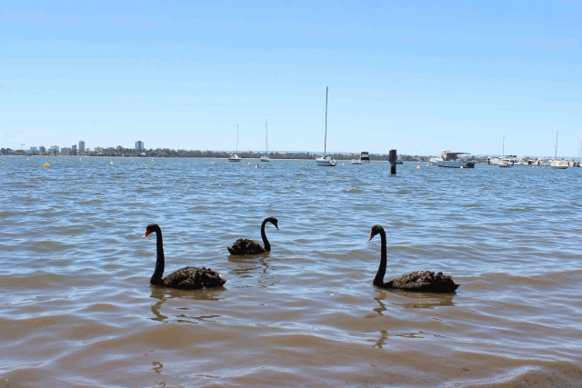 Matilda Bay Matilda Bay