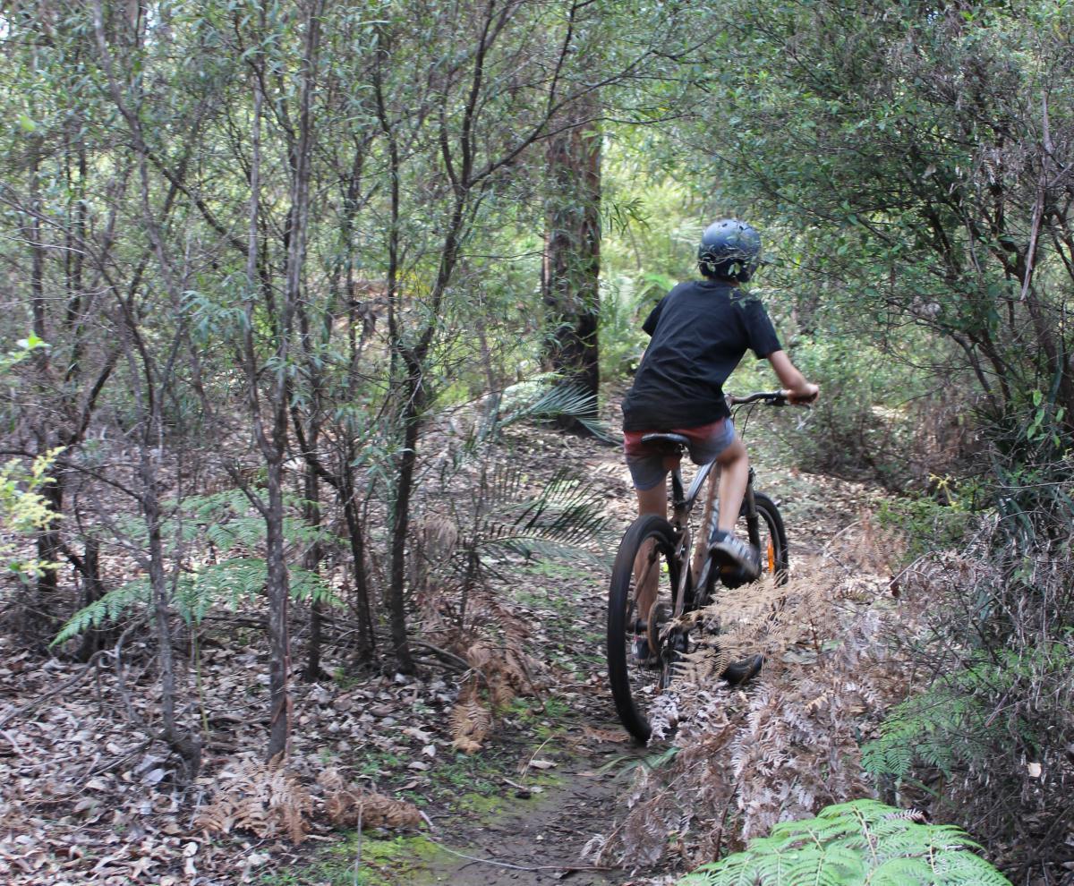 Camp and Hike (Jabitj Trail)