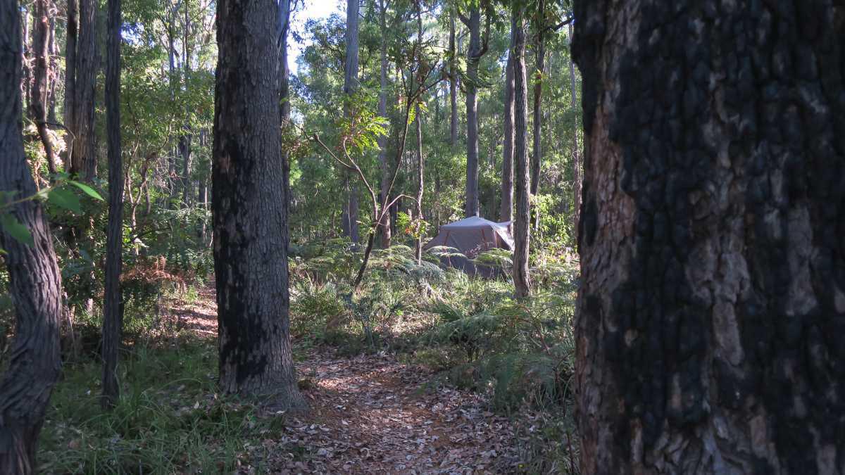 Potters Gorge