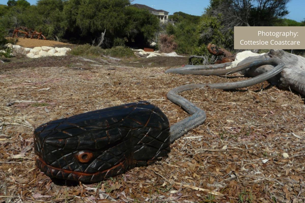 Cottesloe Nature Discovery Space