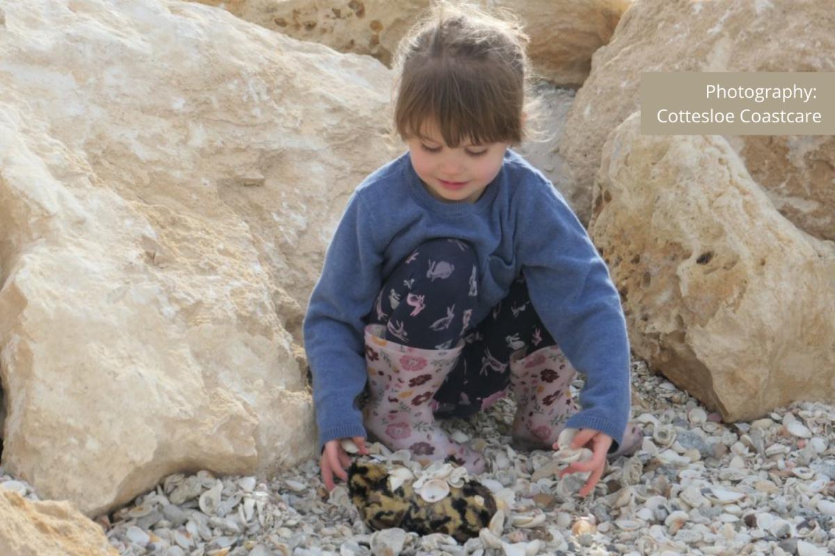 Cottesloe Nature Discovery Space