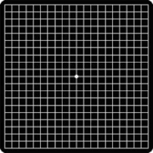 Test de la rejilla de Amsler