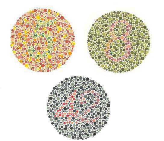 Test Ishihara Test Ishihara