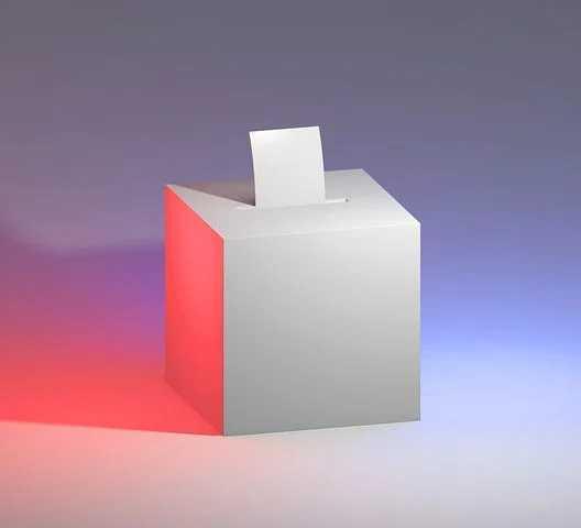Elections professionnelles : Comment voter? Elections professionnelles : Comment voter?